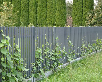 Zdjęcia realizacji ogrodzeń ze sztachet metalowych