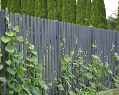 Zdjęcia realizacji ogrodzeń ze sztachet metalowych